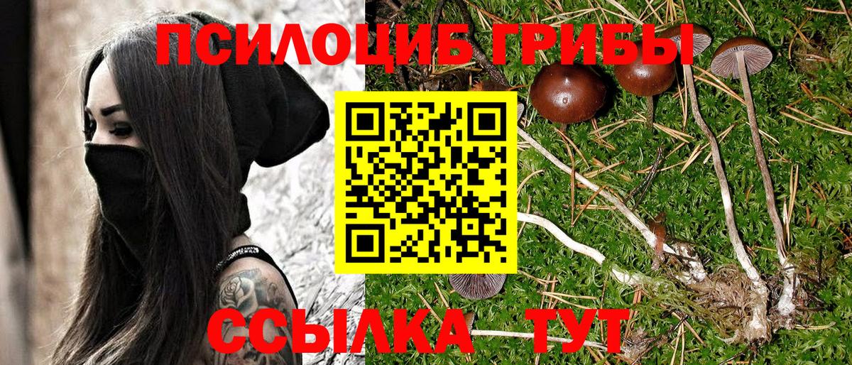 Псилоцибиновые грибы мухоморы Петрозаводск